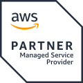 AWS Partner Tier Badge