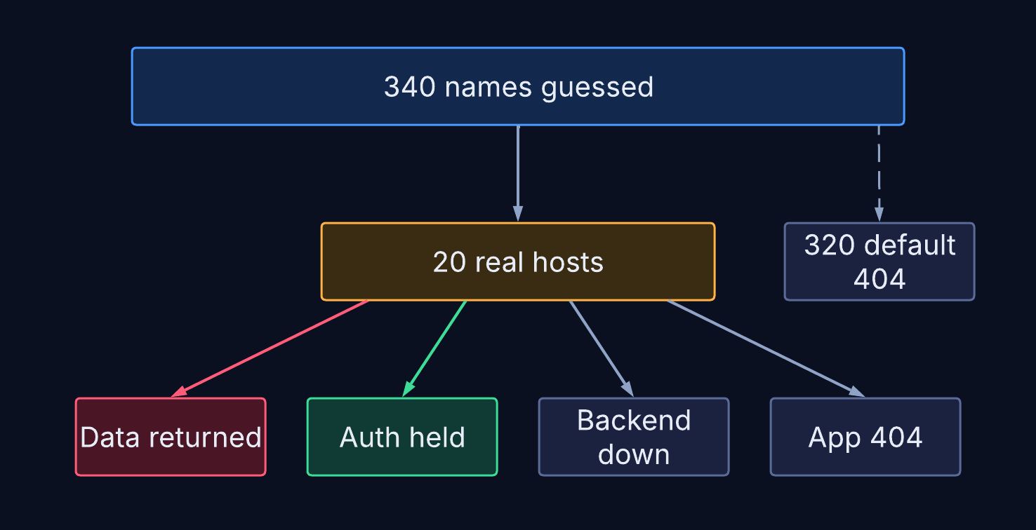 Funnel: about 340 guessed names, about 320 default 404 responses, about 20 real hosts, and what those hosts returned